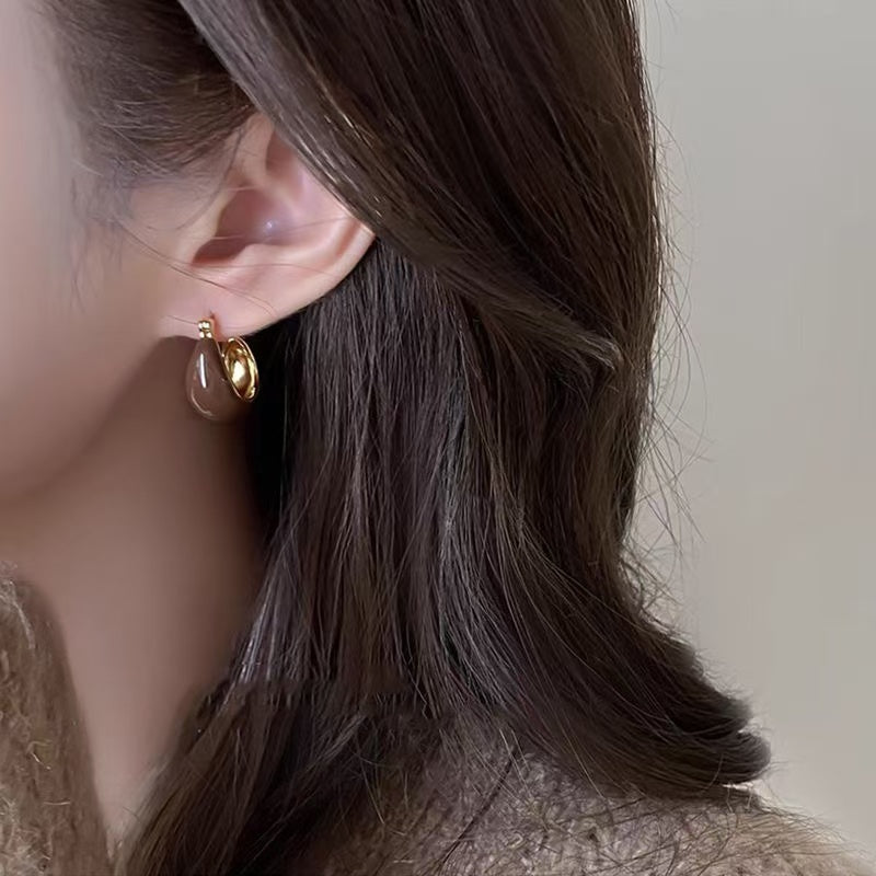 Autumn and winter Maillard tiger eye stone fashion ear clip earrings